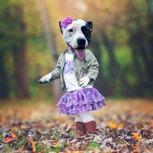 Meet your Posher, Caity